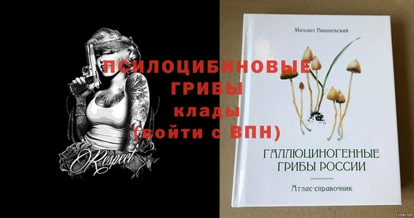 шишки Нея
