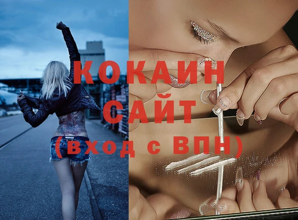 шишки Нея