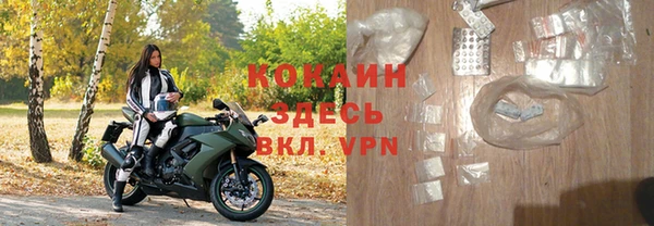 шишки Нея