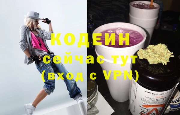 шишки Нея