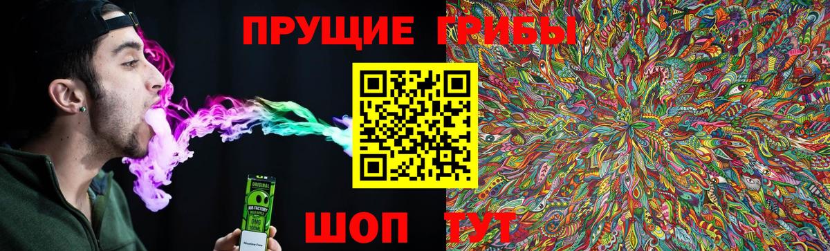 Псилоцибиновые грибы мицелий  Нарткала 