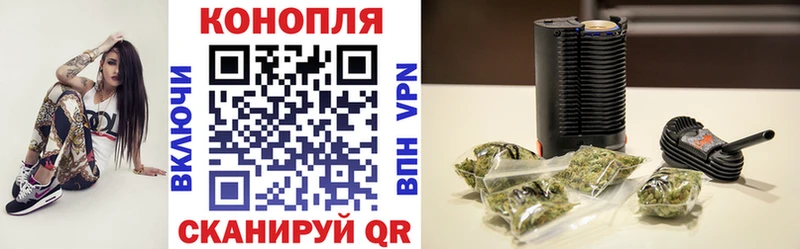 наркота  Нарткала  Бошки Шишки White Widow 